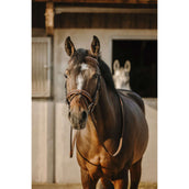 Eric Thomas Bride Work Havane Eric Thomas Bride Work Havane