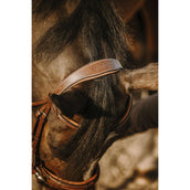 Eric Thomas Bride Work Havane Eric Thomas Bride Work Havane