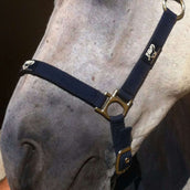 Animaderm Crème de Soin Cutene Animaderm Crème de Soin Cutene