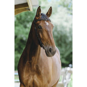 Norton Bride Freedom Noir Norton Bride Freedom Noir