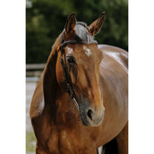 Norton Bride Freedom Havane Norton Bride Freedom Havane