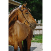 Norton Bride Freedom Havane Norton Bride Freedom Havane