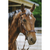 Norton Bridon sans Mors Havane Norton Bridon sans Mors Havane