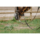 Norton Bridon sans Mors Havane Norton Bridon sans Mors Havane