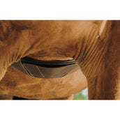 Norton Sangle Magnet Anatomique Havane Norton Sangle Magnet Anatomique Havane