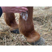 Animaderm Lotion Derfongen Animaderm Lotion Derfongen