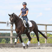 Equilibrium Guêtres Stretch & Flex Flatwork Blanc Equilibrium Guêtres Stretch & Flex Flatwork Blanc