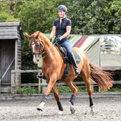 Equilibrium Guêtres Stretch & Flex Flatwork Noir Equilibrium Guêtres Stretch & Flex Flatwork Noir