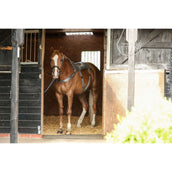 Equilibrium Massage Pad Gris Equilibrium Massage Pad Gris