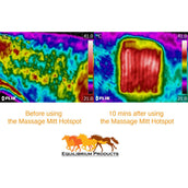Equilibrium Gant de Massage Hotspot Gris Equilibrium Gant de Massage Hotspot Gris