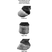 Scoot Boots Hipposandale Regular Single Poney Noir Scoot Boots Hipposandale Regular Single Poney Noir