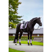 Equestrian Stockholm Tapis de Selle Dressage Lavande Equestrian Stockholm Tapis de Selle Dressage Lavande