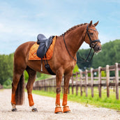 Equestrian Stockholm Cloches d'Obstacles Chestnut Equestrian Stockholm Cloches d'Obstacles Chestnut