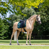 Equestrian Stockholm Tapis de Selle Velvet Dressage Sycamore Green Equestrian Stockholm Tapis de Selle Velvet Dressage Sycamore Green