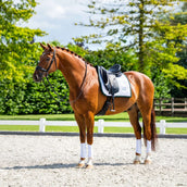 Equestrian Stockholm Tapis de Selle Modern Dressage Blanc/Sycamore Green Equestrian Stockholm Tapis de Selle Modern Dressage Blanc/Sycamore Green