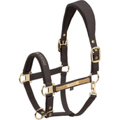 Eskadron Licol Heritage Faux Leather Double Pin Black Truffle Eskadron Licol Heritage Faux Leather Double Pin Black Truffle