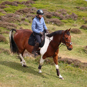 Aubrion by Shires Pull Original Fleece Bleu Aubrion by Shires Pull Original Fleece Bleu