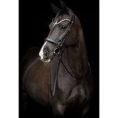 Catago Muserolle Gentle Noir Catago Muserolle Gentle Noir