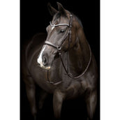 Catago Sous-Gorge Gentle avec Boucles Marron Catago Sous-Gorge Gentle avec Boucles Marron