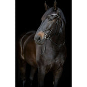 Catago Montants Gentle Noir Catago Montants Gentle Noir