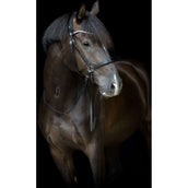 Catago Sous-Gorge Gentle avec Boucles Noir Catago Sous-Gorge Gentle avec Boucles Noir