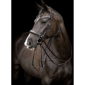 Catago Pièce de Tête Gentle Marron Catago Pièce de Tête Gentle Marron