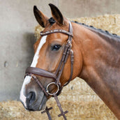 Harry's Horse Bride Bombastic Crystals Marron Harry's Horse Bride Bombastic Crystals Marron