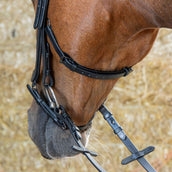 Harry's Horse Bride Anatomic Black Crystal Noir Harry's Horse Bride Anatomic Black Crystal Noir