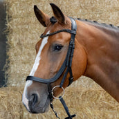 Harry's Horse Bride Anatomic Black Crystal Noir Harry's Horse Bride Anatomic Black Crystal Noir