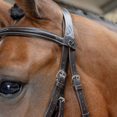 Harry's Horse Bride Mexicaine Anatomic Marron Harry's Horse Bride Mexicaine Anatomic Marron
