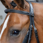 Harry's Horse Bride Mexicaine Anatomic Noir Harry's Horse Bride Mexicaine Anatomic Noir
