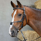Harry's Horse Bride Mexicaine Anatomic Noir Harry's Horse Bride Mexicaine Anatomic Noir