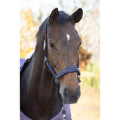 Harry's Horse Ensemble Licol EQS Marin foncé Harry's Horse Ensemble Licol EQS Marin foncé