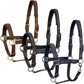 Harry's Horse Ensemble Licol EQS Marin foncé Harry's Horse Ensemble Licol EQS Marin foncé
