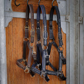 Harry's Horse Ensemble Licol EQS Marin foncé Harry's Horse Ensemble Licol EQS Marin foncé
