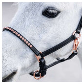 Harry's Horse Licol Crystal Poney/Poulain Noir/Or Rose Harry's Horse Licol Crystal Poney/Poulain Noir/Or Rose
