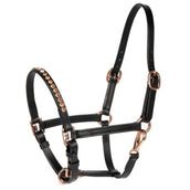 Harry's Horse Licol Crystal Poney/Poulain Noir/Or Rose Harry's Horse Licol Crystal Poney/Poulain Noir/Or Rose