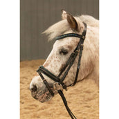 Harry's Horse Bride STOUT! Lime Noir Harry's Horse Bride STOUT! Lime Noir