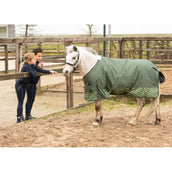 Harry's Horse Couverture Imperméable STOUT! Lime 200g Armée Verte Harry's Horse Couverture Imperméable STOUT! Lime 200g Armée Verte