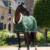HB Ruitersport Couverture de Concours Special Peach Forest Green HB Ruitersport Couverture de Concours Special Peach Forest Green