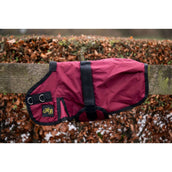 HB Couverture pour Poulain Ukki Bordeaux HB Couverture pour Poulain Ukki Bordeaux