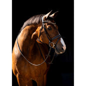 HB Bride Jump Rocky Paillettes Marron HB Bride Jump Rocky Paillettes Marron