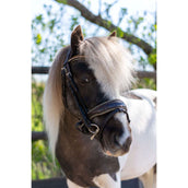 HB Bride Rocky Paillettes Marron HB Bride Rocky Paillettes Marron