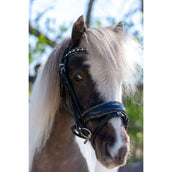 HB Bride Rocky Paillettes/Noir HB Bride Rocky Paillettes/Noir