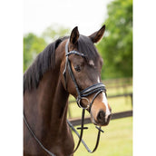 HB Showtime Bride Las Vegas Noir/Marine Briller HB Showtime Bride Las Vegas Noir/Marine Briller