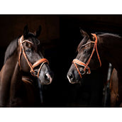 HB Showtime Bride Chesnuth Cognac/Blanc HB Showtime Bride Chesnuth Cognac/Blanc