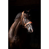 HB Showtime Bride Chesnuth Cognac/Blanc HB Showtime Bride Chesnuth Cognac/Blanc