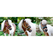 HB Licol Sunny Flower Bleu HB Licol Sunny Flower Bleu