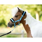 HB Licol Sunny Flower Bleu HB Licol Sunny Flower Bleu