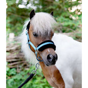 HB Licol Sunny Flower Bleu HB Licol Sunny Flower Bleu